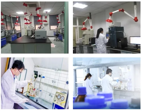 GMP intermediates, drug development process, role of GMP intermediates, pharmaceutical manufacturing, Good Manufacturing Practice, drug synthesis, API intermediates, GMP standards in drug manufacturing pharmaceutical, quality control regulatory, compliance in drug development