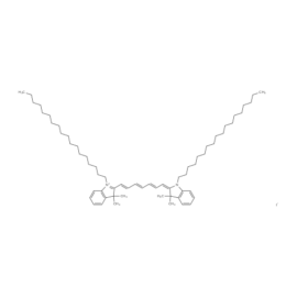 DiR