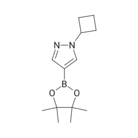 1-Cyclobutyl-4-(4,4,5,5-tetramethyl-1,3,2-dioxaborolan-2-yl)-1H-pyrazole